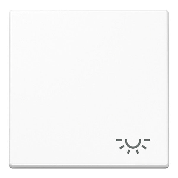 JUNG Wippe Symbol LICHT aws für Schalter/Taster A 590 L WW